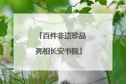 百件非遗珍品亮相长安书院