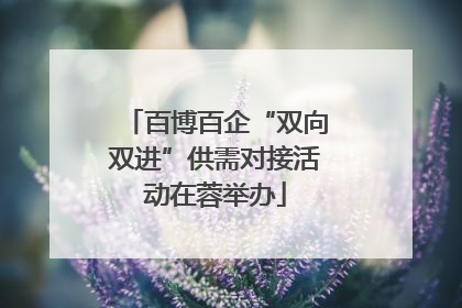 百博百企“双向双进”供需对接活动在蓉举办