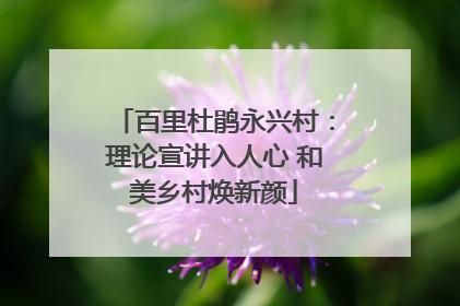 百里杜鹃永兴村：理论宣讲入人心 和美乡村焕新颜