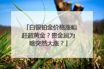 白银铂金价格涨幅赶超黄金？贵金属为啥突然大涨？