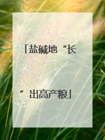 盐碱地“长”出高产粮