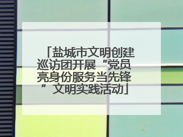 盐城市文明创建巡访团开展“党员亮身份服务当先锋”文明实践活动