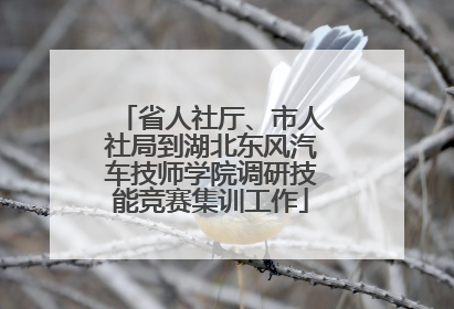 省人社厅、市人社局到湖北东风汽车技师学院调研技能竞赛集训工作