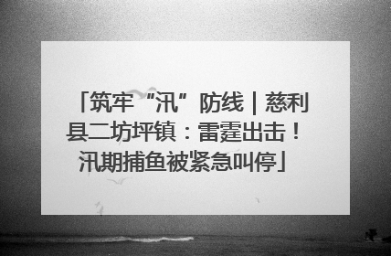 筑牢“汛”防线｜慈利县二坊坪镇：雷霆出击！汛期捕鱼被紧急叫停