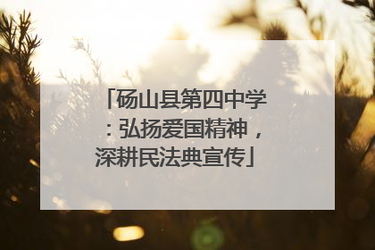 砀山县第四中学：弘扬爱国精神，深耕民法典宣传