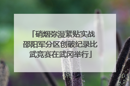 硝烟弥漫紧贴实战 邵阳军分区创破纪录比武竞赛在武冈举行