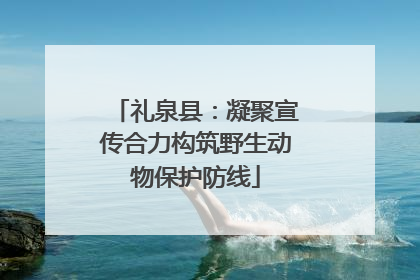 礼泉县：凝聚宣传合力构筑野生动物保护防线