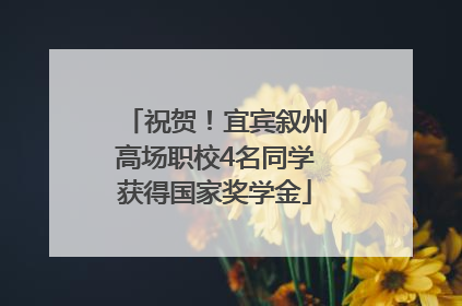 祝贺！宜宾叙州高场职校4名同学获得国家奖学金