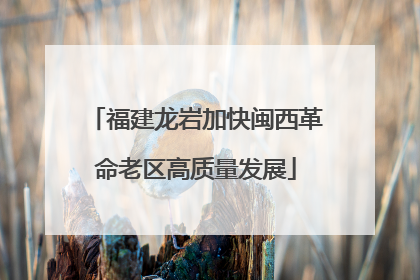 福建龙岩加快闽西革命老区高质量发展