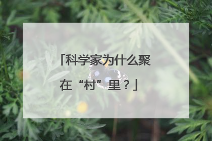 科学家为什么聚在“村”里？