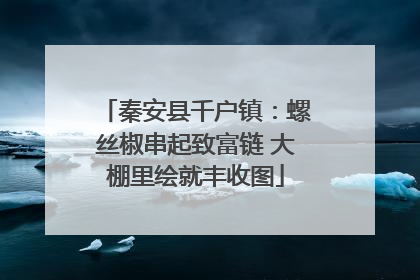 秦安县千户镇：螺丝椒串起致富链 大棚里绘就丰收图