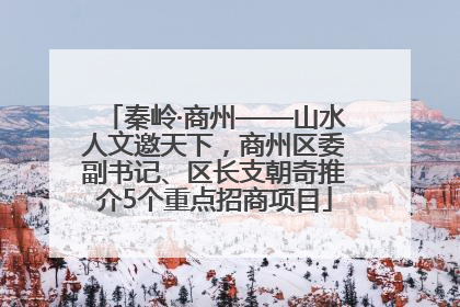 秦岭·商州——山水人文邀天下，商州区委副书记、区长支朝奇推介5个重点招商项目
