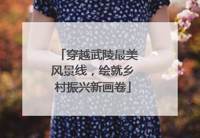 穿越武陵最美风景线，绘就乡村振兴新画卷