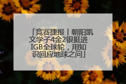 竞赛捷报丨朝阳凯文学子4金2银挺进IGB全球轮，用知识回应地球之问