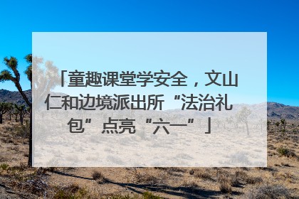童趣课堂学安全，文山仁和边境派出所“法治礼包”点亮“六一”