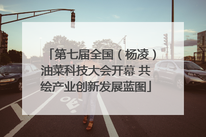 第七届全国（杨凌）油菜科技大会开幕 共绘产业创新发展蓝图