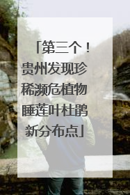 第三个！贵州发现珍稀濒危植物睡莲叶杜鹃新分布点