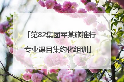 第82集团军某旅推行专业课目集约化组训