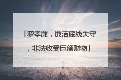 罗孝廉，廉洁底线失守，非法收受巨额财物