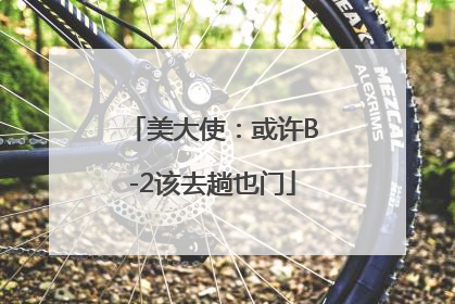 美大使：或许B-2该去趟也门