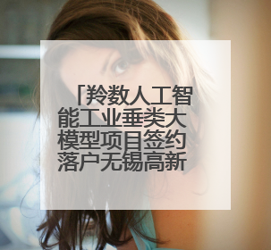羚数人工智能工业垂类大模型项目签约落户无锡高新区