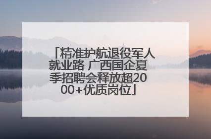 精准护航退役军人就业路 广西国企夏季招聘会释放超2000+优质岗位