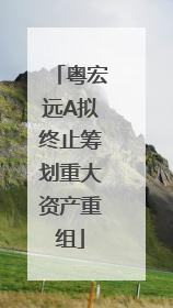 粤宏远A拟终止筹划重大资产重组