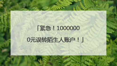 紧急！10000000元误转陌生人账户！