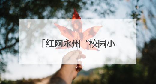 红网永州“校园小记者”体验非遗漆扇制作：一扇一世界 童心传匠心