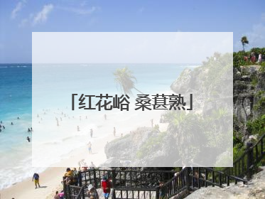 红花峪 桑葚熟