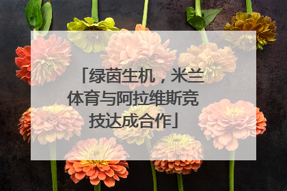 绿茵生机，米兰体育与阿拉维斯竞技达成合作