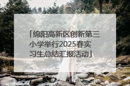 绵阳高新区创新第三小学举行2025春实习生总结汇报活动