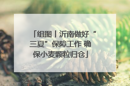 组图丨沂南做好“三夏”保障工作 确保小麦颗粒归仓