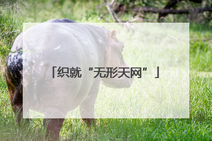 织就“无形天网”