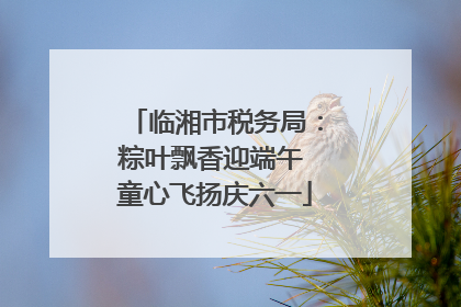 临湘市税务局：粽叶飘香迎端午 童心飞扬庆六一