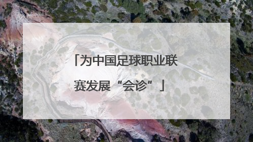 为中国足球职业联赛发展“会诊”