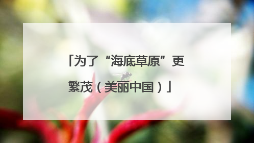 为了“海底草原”更繁茂（美丽中国）