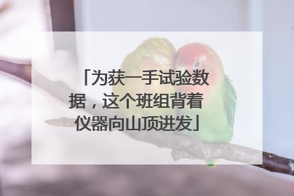 为获一手试验数据，这个班组背着仪器向山顶进发