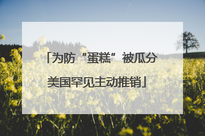 为防“蛋糕”被瓜分 美国罕见主动推销