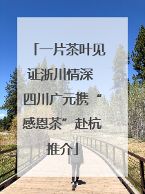 一片茶叶见证浙川情深 四川广元携“感恩茶”赴杭推介