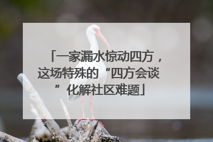 一家漏水惊动四方，这场特殊的“四方会谈”化解社区难题