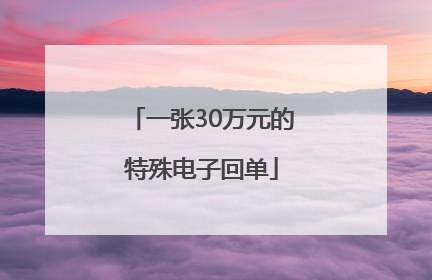 一张30万元的特殊电子回单