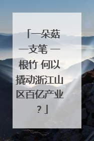 一朵菇 一支笔 一根竹 何以撬动浙江山区百亿产业？