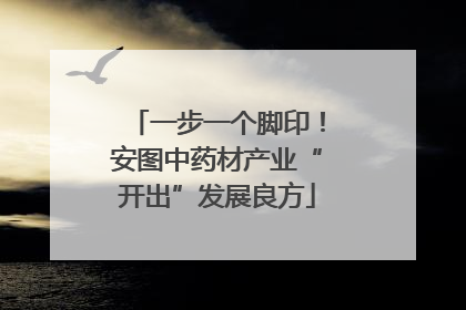 一步一个脚印！安图中药材产业“开出”发展良方