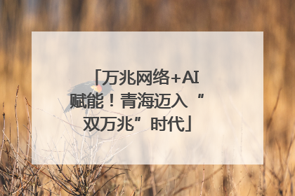万兆网络+AI赋能！青海迈入“双万兆”时代