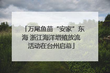 万尾鱼苗“安家”东海 浙江海洋增殖放流活动在台州启幕