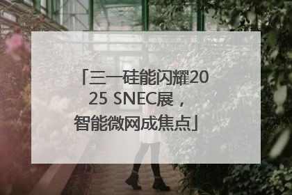 三一硅能闪耀2025 SNEC展，智能微网成焦点
