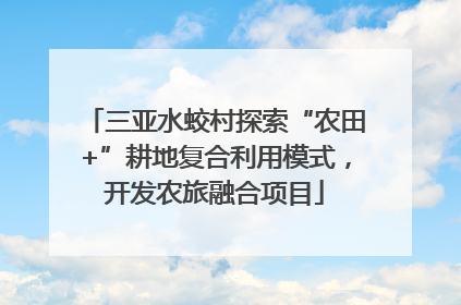 三亚水蛟村探索“农田+”耕地复合利用模式，开发农旅融合项目