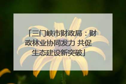三门峡市财政局：财政林业协同发力 共促生态建设新突破
