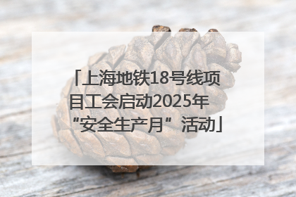 上海地铁18号线项目工会启动2025年“安全生产月”活动